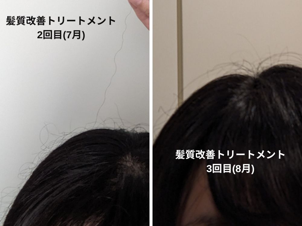 髪質改善トリートメント　比較　髪の毛表面の髪